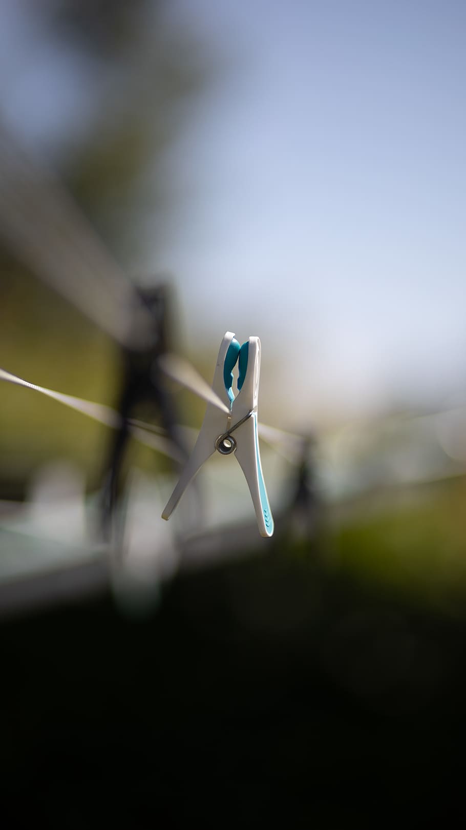 white clip, mosquito, invertebrate, insect, animal, paper, focus on foreground HD wallpaper