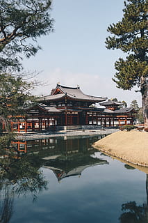 temple in front of calm body of water, building, tree, architecture HD wallpaper