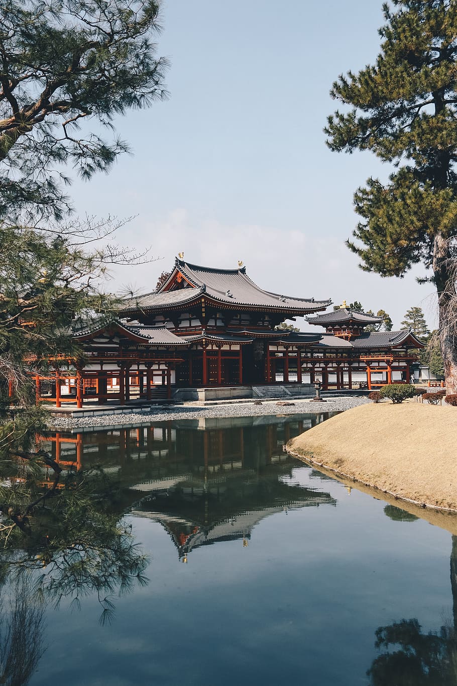 temple in front of calm body of water, building, tree, architecture