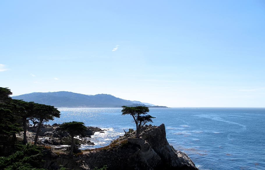 lone cypress, sky, water, sea, beauty in nature, scenics - nature HD wallpaper