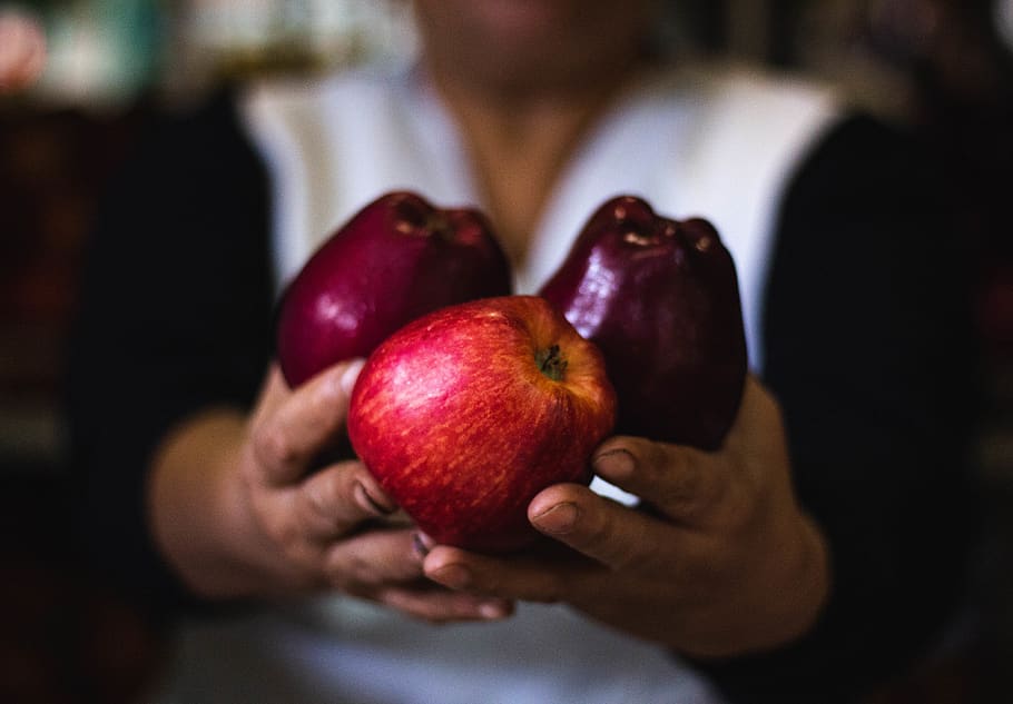 person holding three apples, fruit, food and drink, healthy eating HD wallpaper