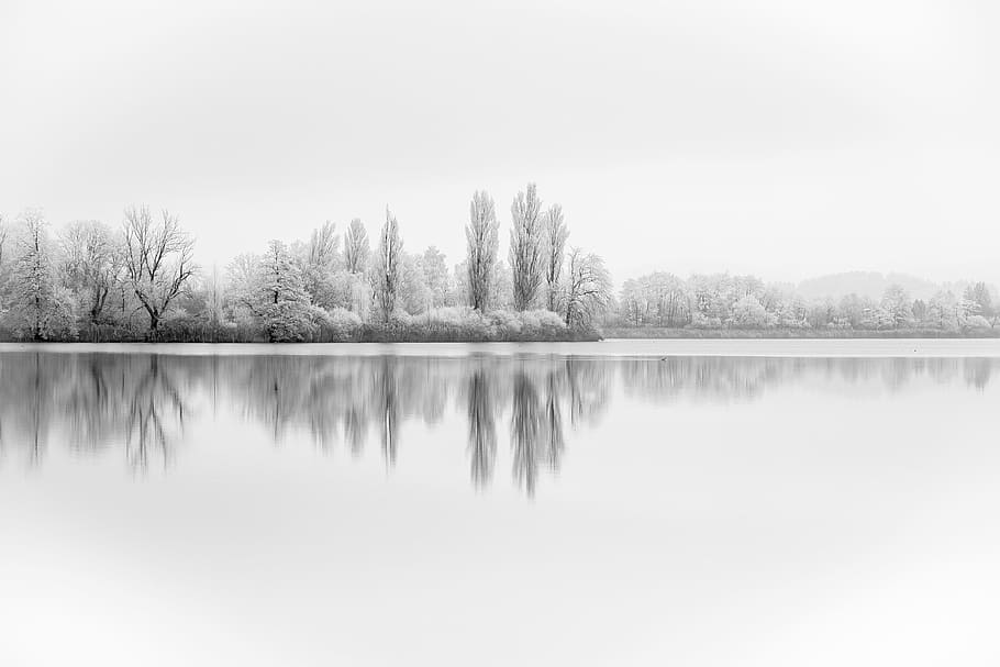 forest covered with snow reflected on body of water grayscale photo HD wallpaper