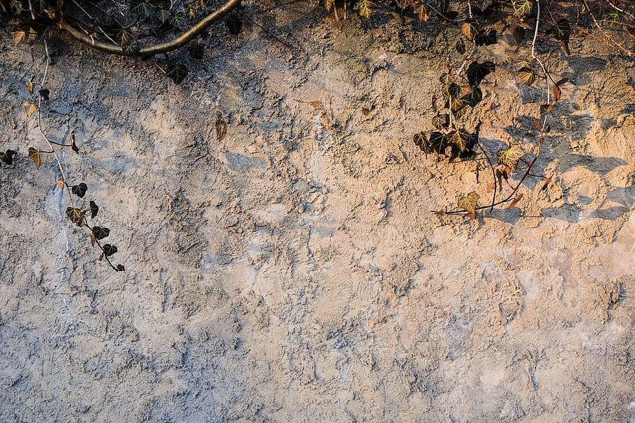 wallpaper, background, grey, sunlight, shadow, concrete, textured HD wallpaper
