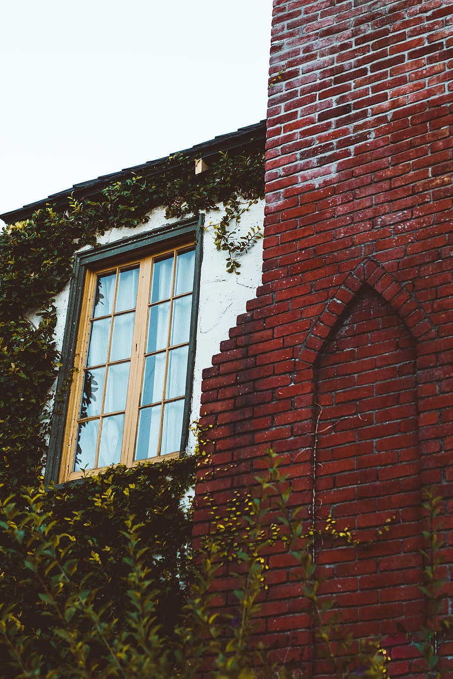 brown concrete brick house, flora, ivy, plant, west hollywood HD wallpaper