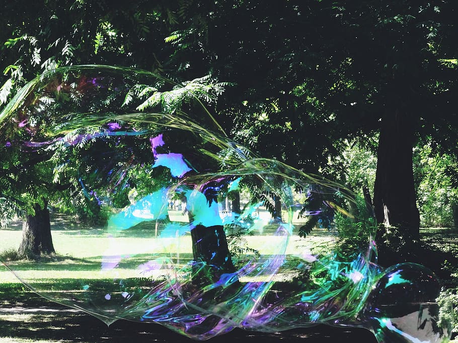 fun, soapbubble, park, green, nature, tree, plant, growth, day HD wallpaper