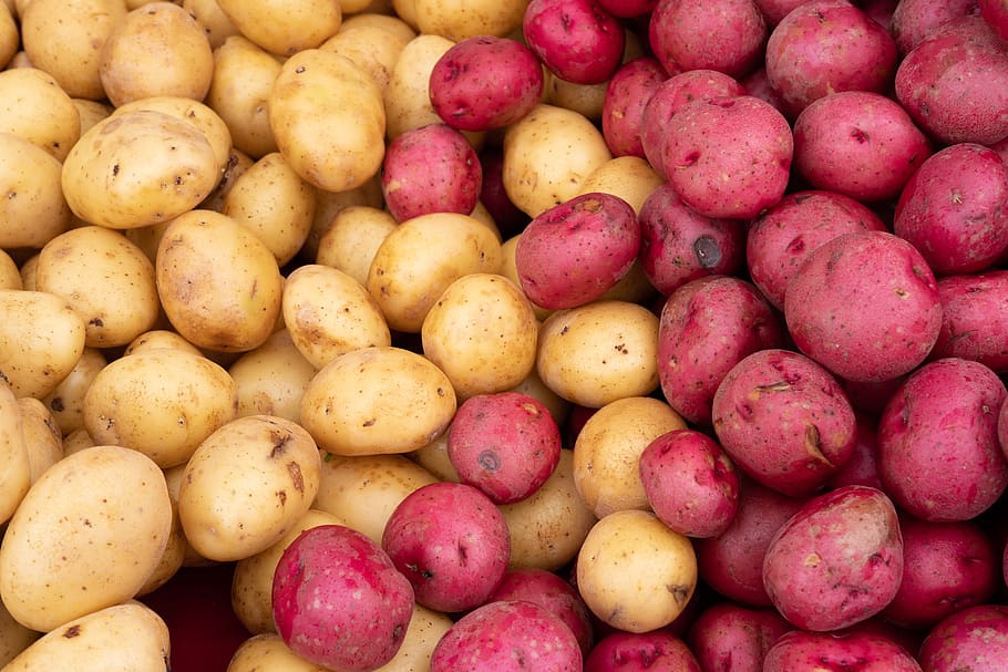 food, vegetable, potato, plant, fremont, ca, fremont farmer's market, HD wallpaper