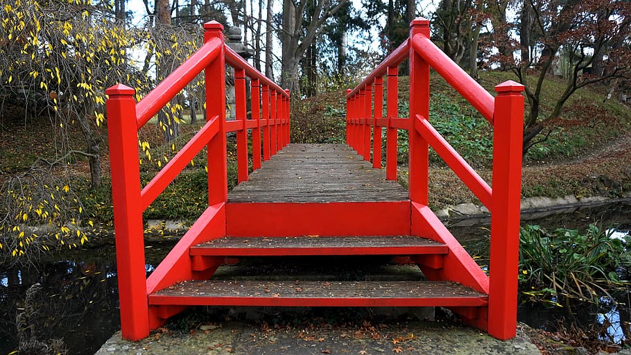 Person Showing Red Wooden Bridge, bench, colorful, colourful HD wallpaper