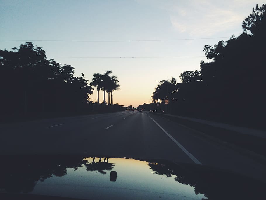 united states, naples, car, street, reflection, palms, sunset, HD wallpaper