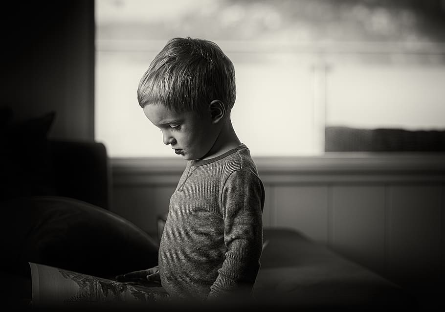 boy wearing gray sweaters, child, childhood, one person, side view HD wallpaper