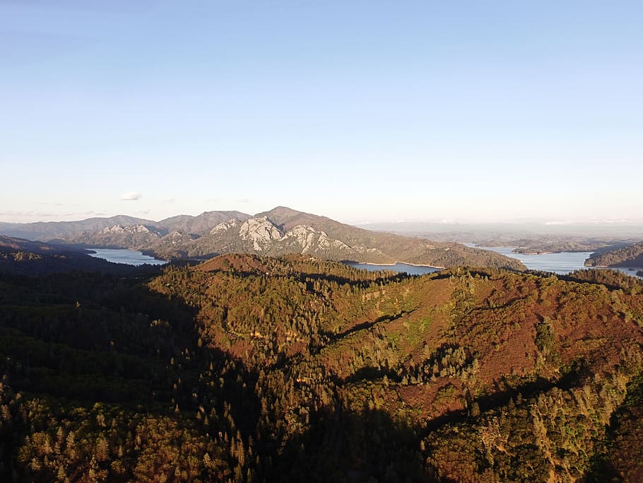 united states, shasta lake, aerial, drone, trees, nature, outdoor, HD wallpaper