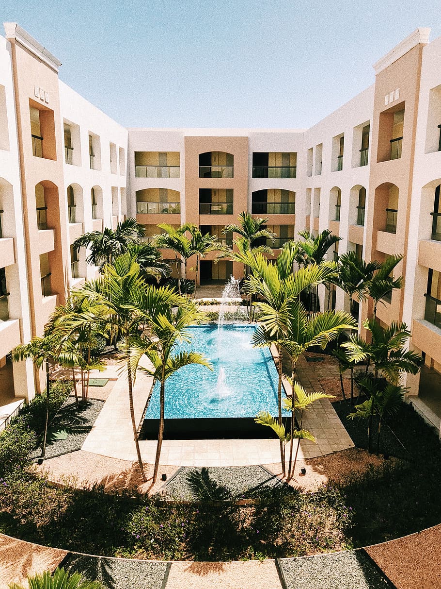 white and brown concrete building, pool, tree, palm, outdoors HD wallpaper
