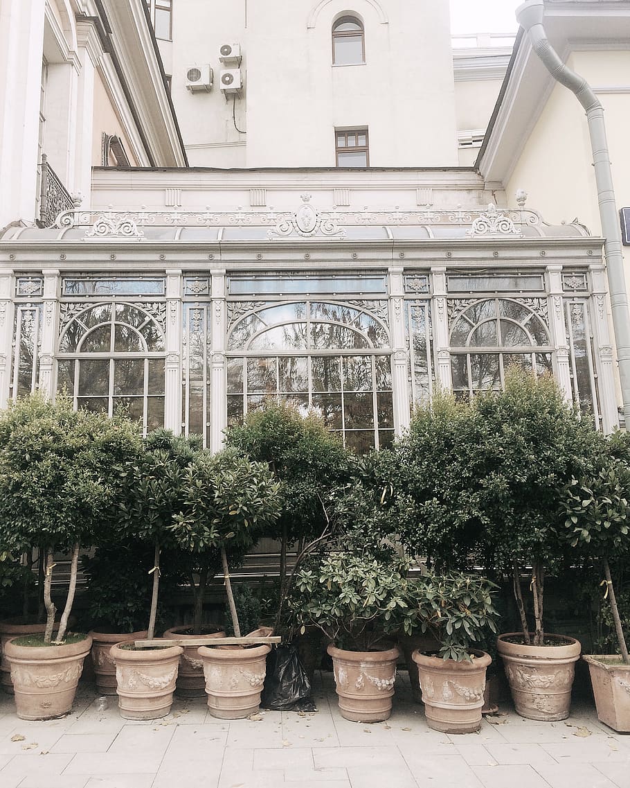 Green Outdoor Plants Near White House, architecture, balcony HD wallpaper