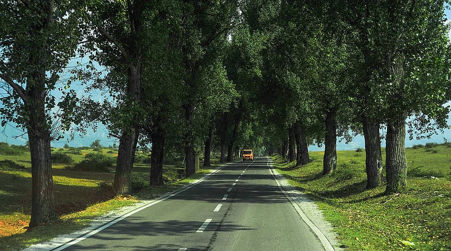 park, road, route, path, pathway, car, ride, van, journey, travel HD wallpaper