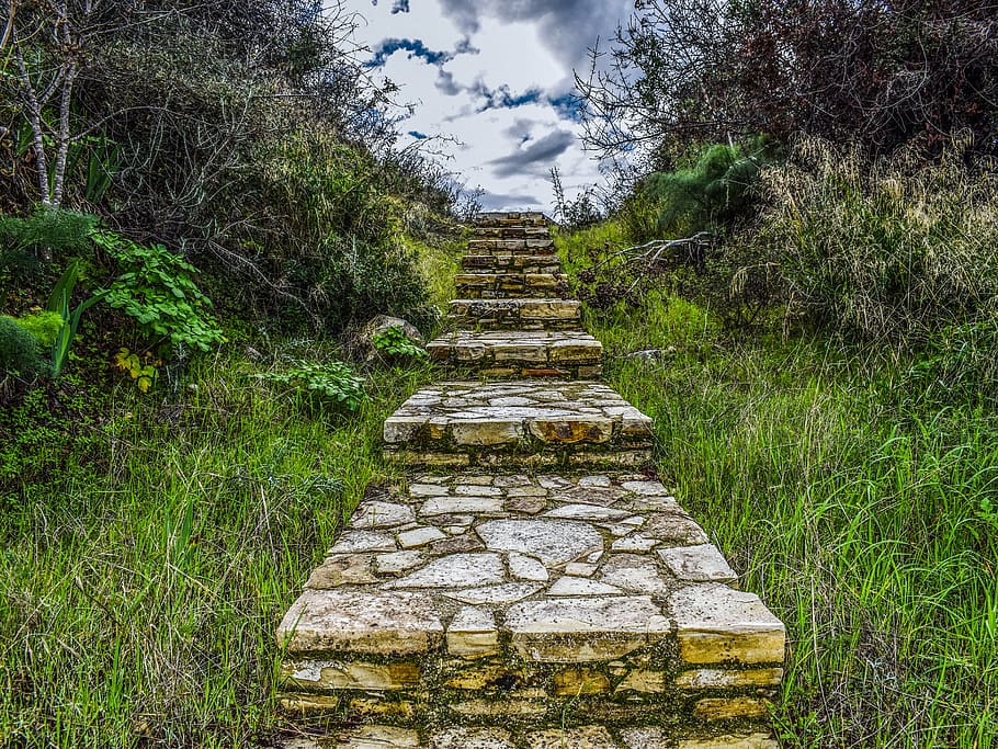 stairs, stone, stairway to heaven, nature, tree, travel, winter, HD wallpaper