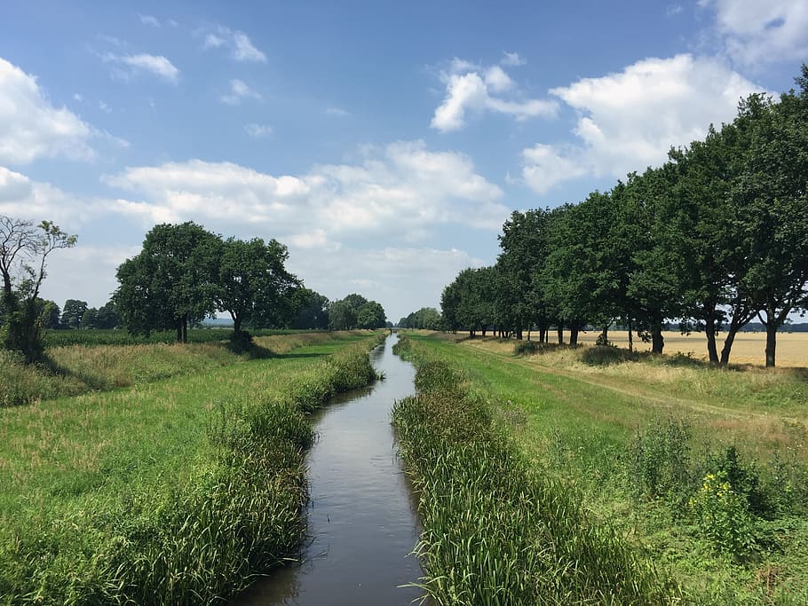 landscape, summer, river, bach, nature, plant, tree, sky, tranquility HD wallpaper