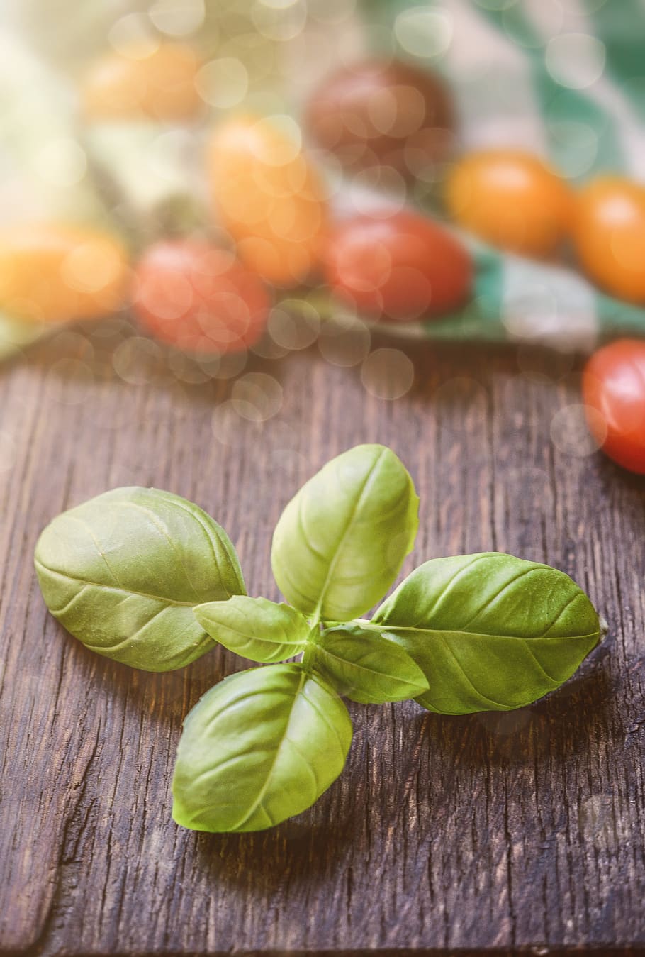 Macro Photography of Green Leaf on Table, basil, fresh, herb HD wallpaper