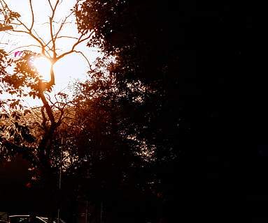 light, flare, sunlight, mumbai, india, nature, outdoors, sky HD wallpaper