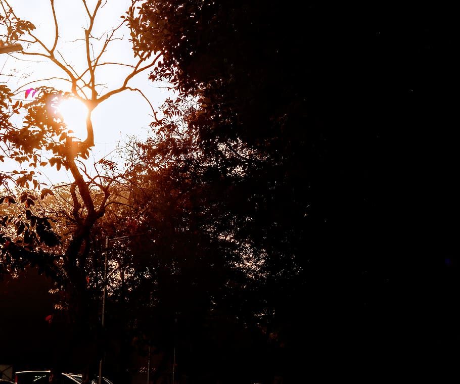 light, flare, sunlight, mumbai, india, nature, outdoors, sky HD wallpaper