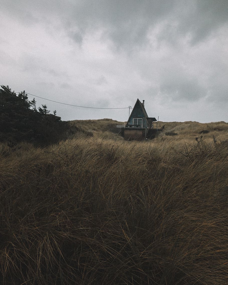 house, home, alone, trees, grass, dark, clouds, sky, cloud - sky HD wallpaper