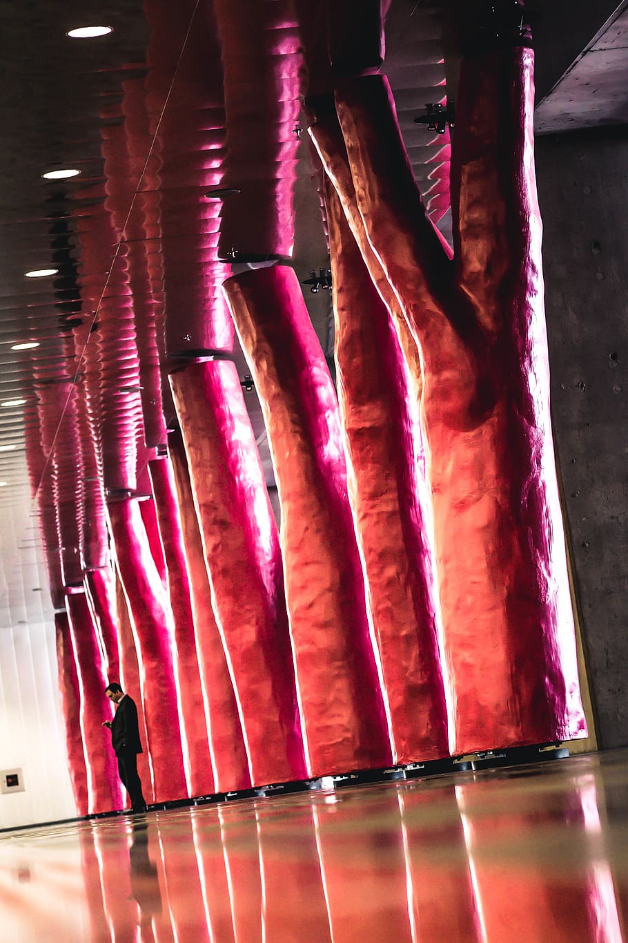 design, tree, architecture, illuminated, indoors, pink color HD wallpaper