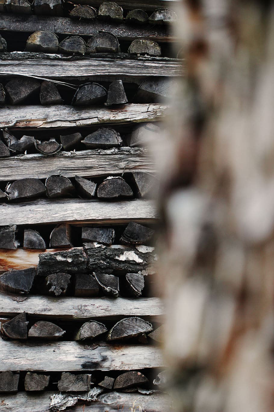 stacked, wood, forest, firematerial, blurry, blurred, outdoor HD wallpaper