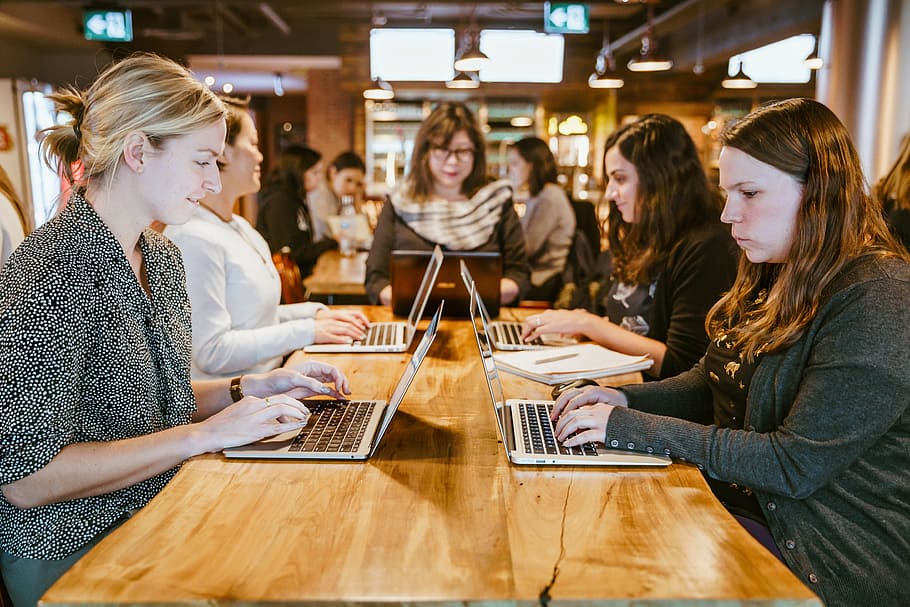 Women On Laptops Around Table Photo, School, Coding, Software development HD wallpaper