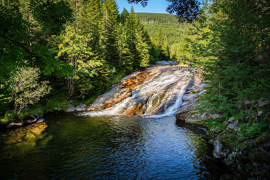 river, cascade, white elbe, waterfall, fluent, creek, green HD wallpaper