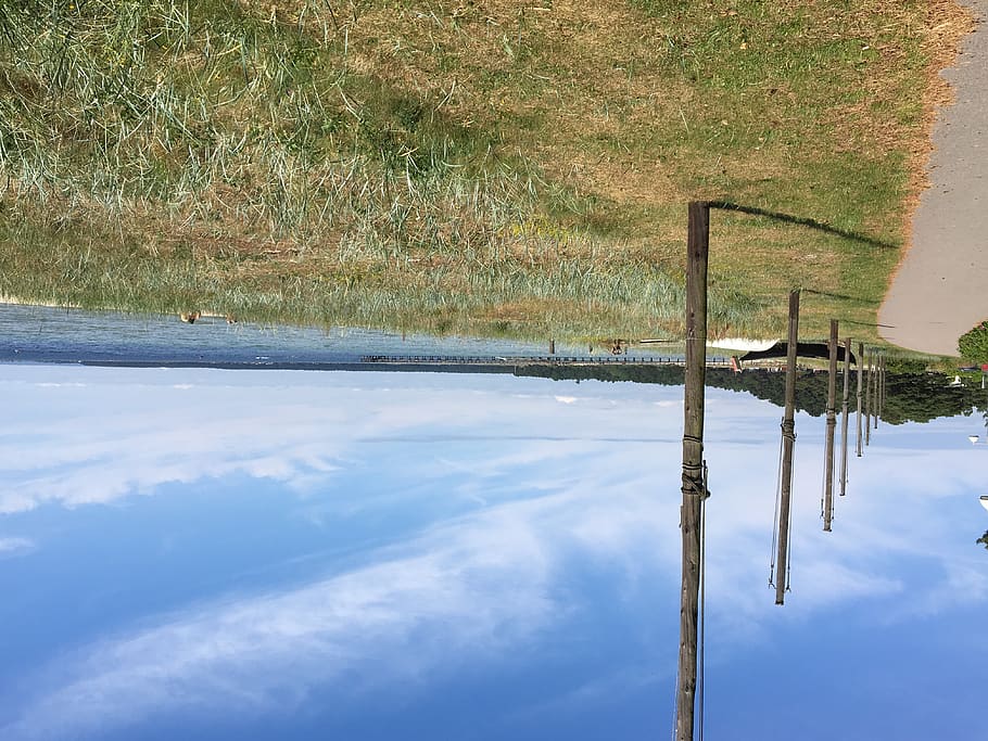 sweden, åhus, water, reflection, day, nature, no people, plant HD wallpaper