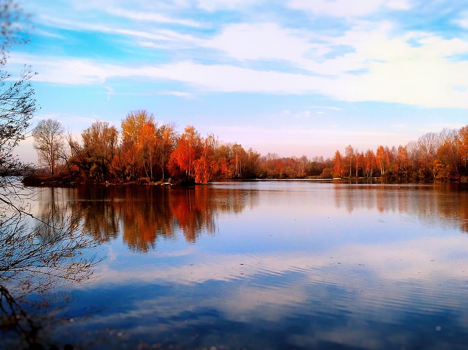 river landscape, bank, forest, trees, nature, autumn, landscape mirror HD wallpaper