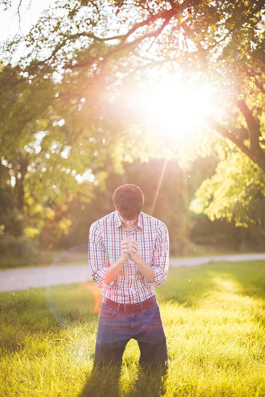 green, grass, trees, sunny, sunlight, sunshine, sunrise, people HD wallpaper