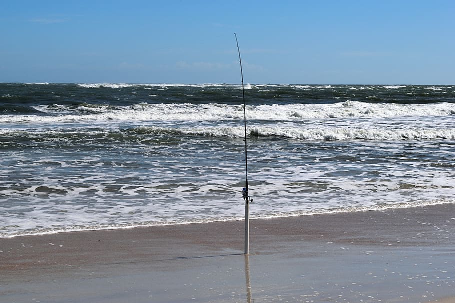 HD wallpaper: fishing pole, beach, ocean, waves, surf fishing, rod, sea,  landscape