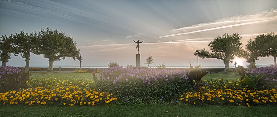 schweiz, rorschach, bodensee, flowers, landscape, photo, trees HD wallpaper