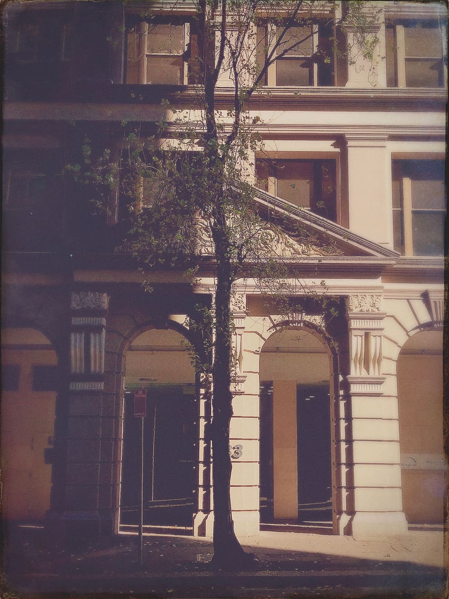 australia, sydney, building, tree, high contrast, street, sandstone HD wallpaper
