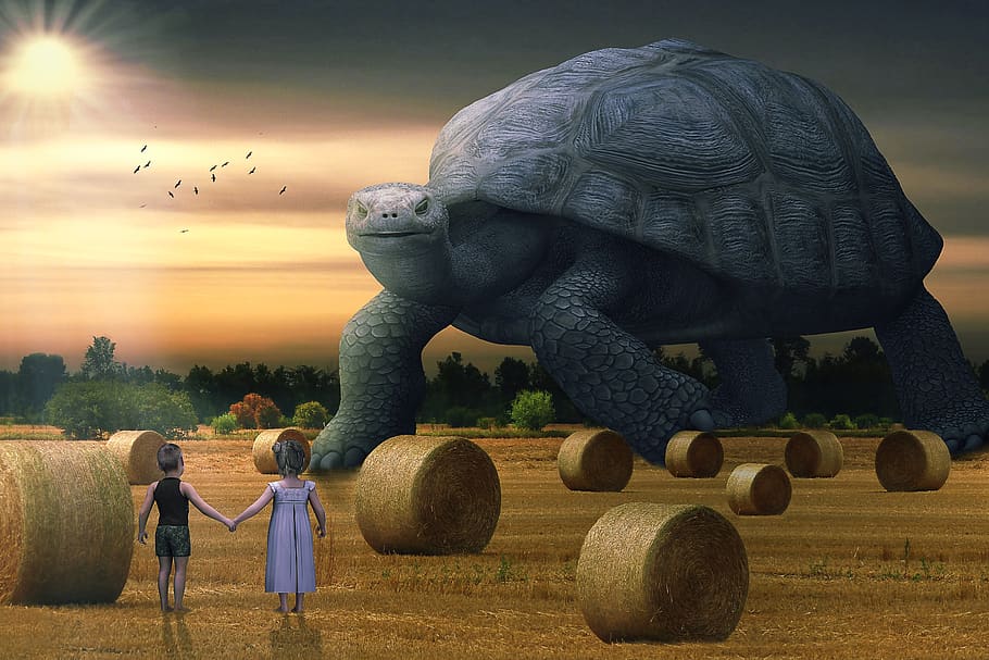 manipulation, landscape, hay bales, turtle, children, sun, birds HD wallpaper