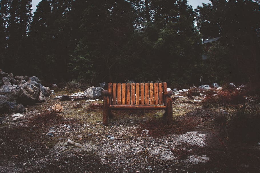 Brown Wooden Park Bench, empty, outdoors, rocks, seat, trees HD wallpaper