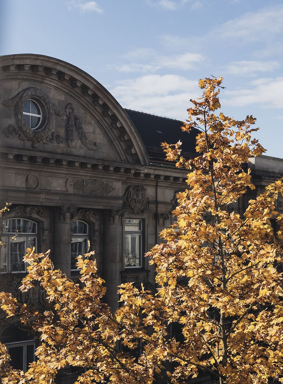 tree, plant, building, architecture, dome, outdoors, augsburg HD wallpaper