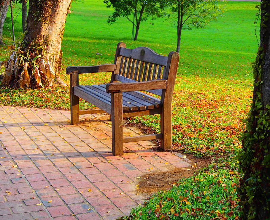 HD wallpaper: bench, seat, wood, garden, chair, nature, wooden, outdoors |  Wallpaper Flare