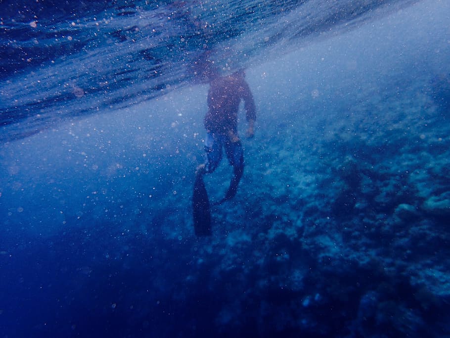 water, underwater, blue, corals, diving, people, man, ocean, HD wallpaper