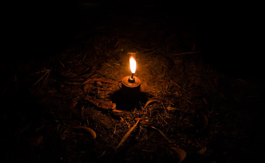 india, kudal, forest, light, lamps, low light, burning, fire HD wallpaper