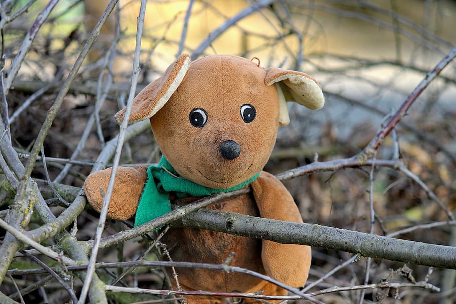 bear, teddy bear, brown, bears, favorite animal, bush, out, HD wallpaper