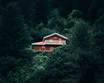 house surrounded by trees, iran, cottage, housing, building, masal HD wallpaper
