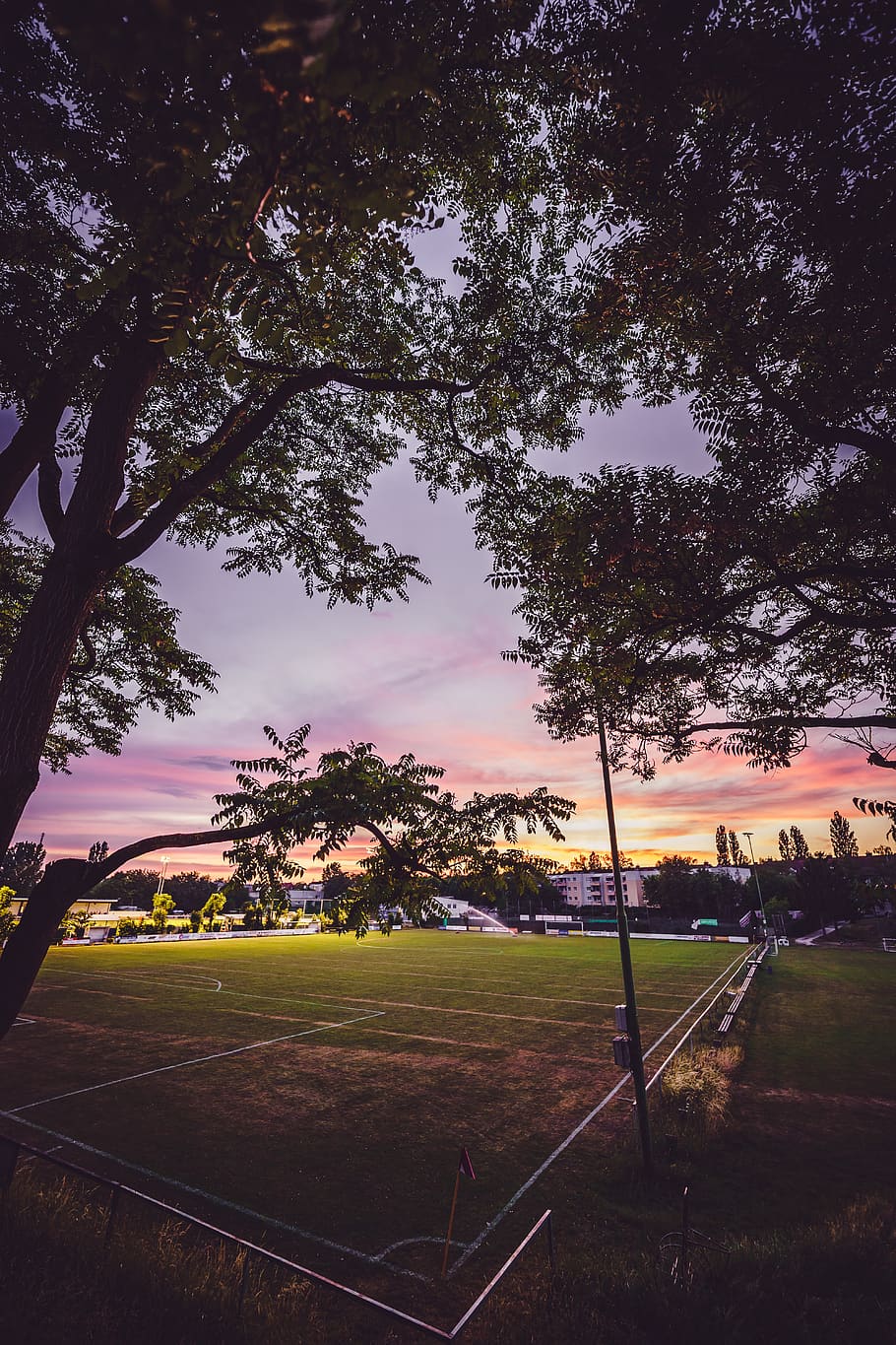 sunset, summer, sky, trees, nature, landscape, city, football HD wallpaper
