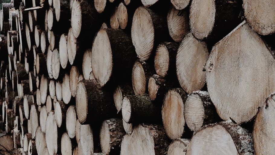 firewood cord, timber, log, full frame, backgrounds, wood - material HD wallpaper