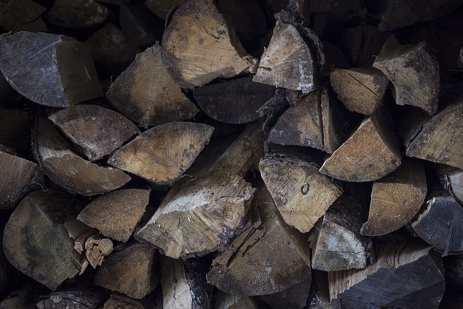 tree, log, natural, nature, rustic, forest, wood, large group of objects HD wallpaper