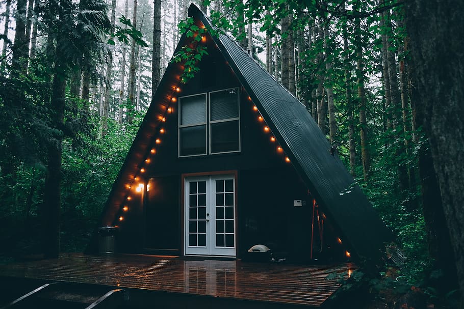 cabin, house, light bulbs, lights, forest, woods, nature, camping HD wallpaper