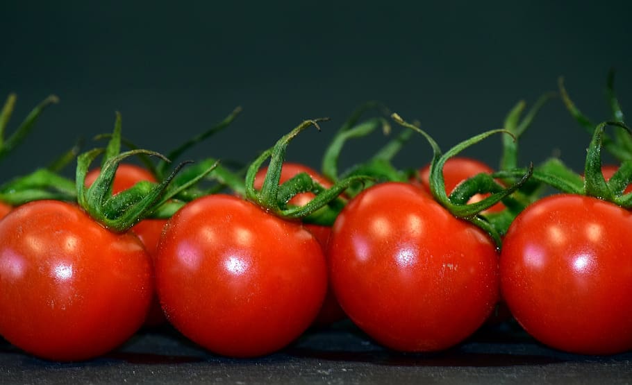 tomatoes, perennials tomatoes, panicle, red, round, healthy, HD wallpaper