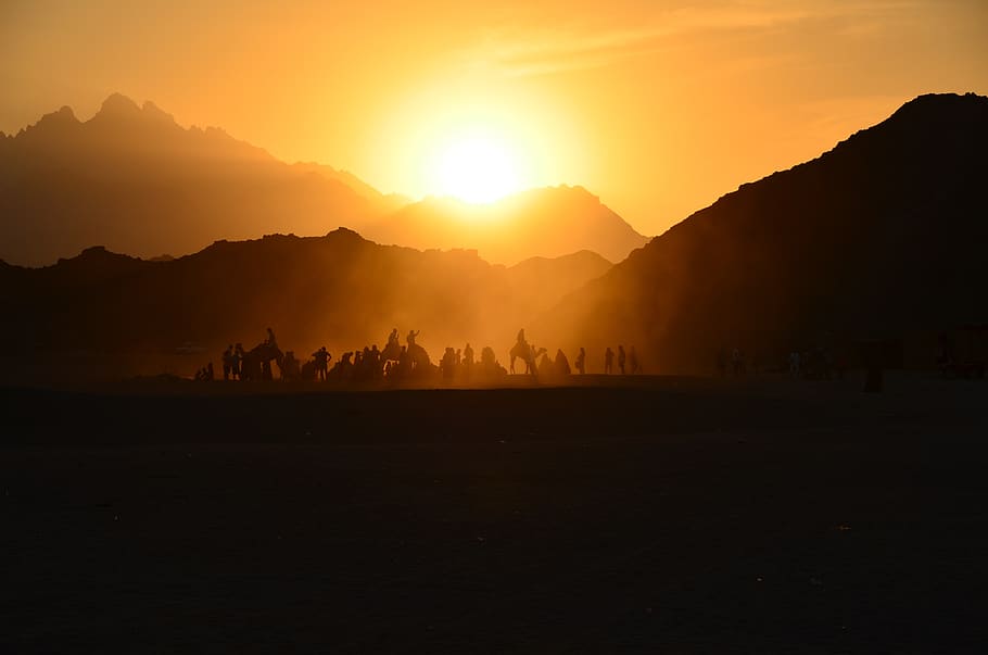 egypt, desert, sunset, shadows, sky, silhouette, beauty in nature HD wallpaper