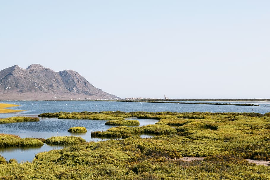 almería, cabo de gata, spain, azul, falmencos, mediterráneo, HD wallpaper