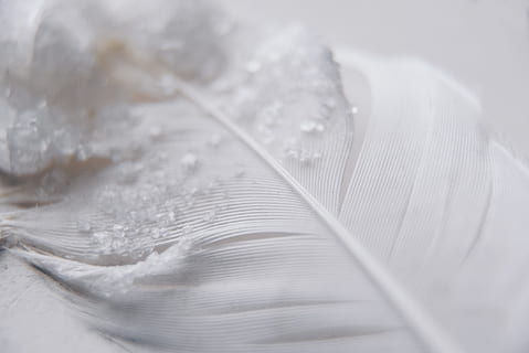 shine, glitter, sparkly, macro, close, winter, sparkle, neutral HD wallpaper