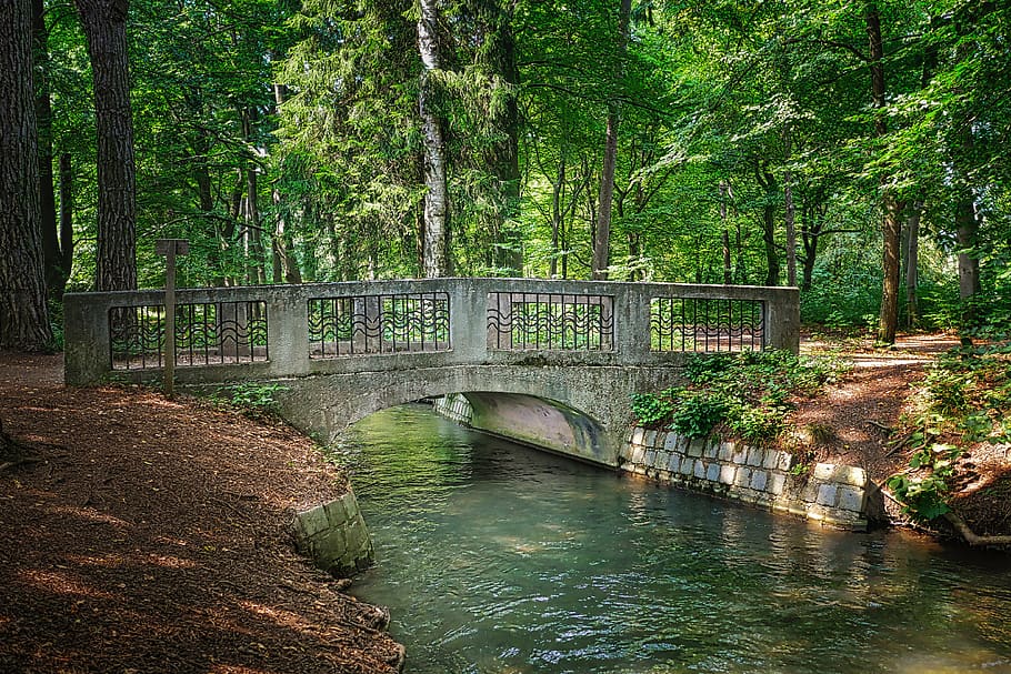 forest, river, bach, water, tree, landscape, nature, creek HD wallpaper